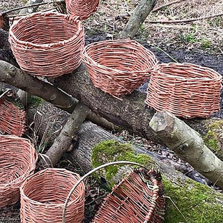 Willow Basketry Day Course