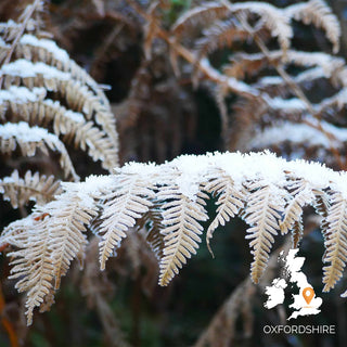 Winter Survival Skills Weekend - Oxfordshire