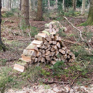 Stacked logs