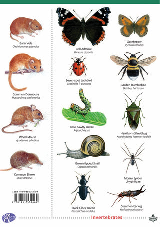 FSC Fold-Out Guide to British Hedgerows