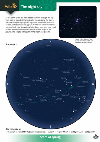 FSC The Night Sky