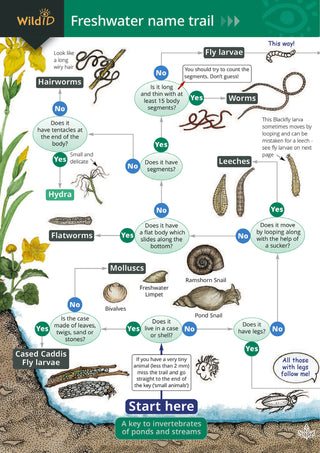 FSC - The Freshwater Name Trail