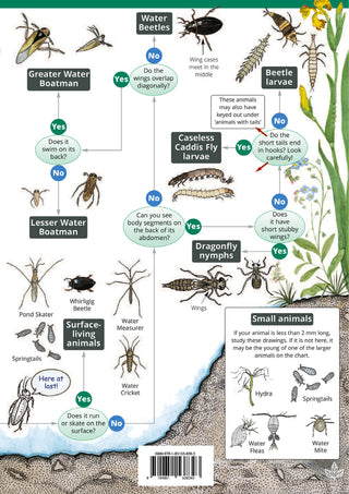 FSC - The Freshwater Name Trail