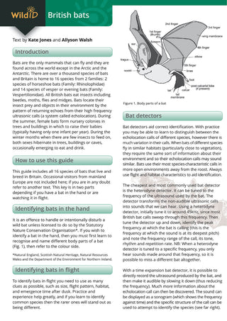 FSC - Bats Identification Guide