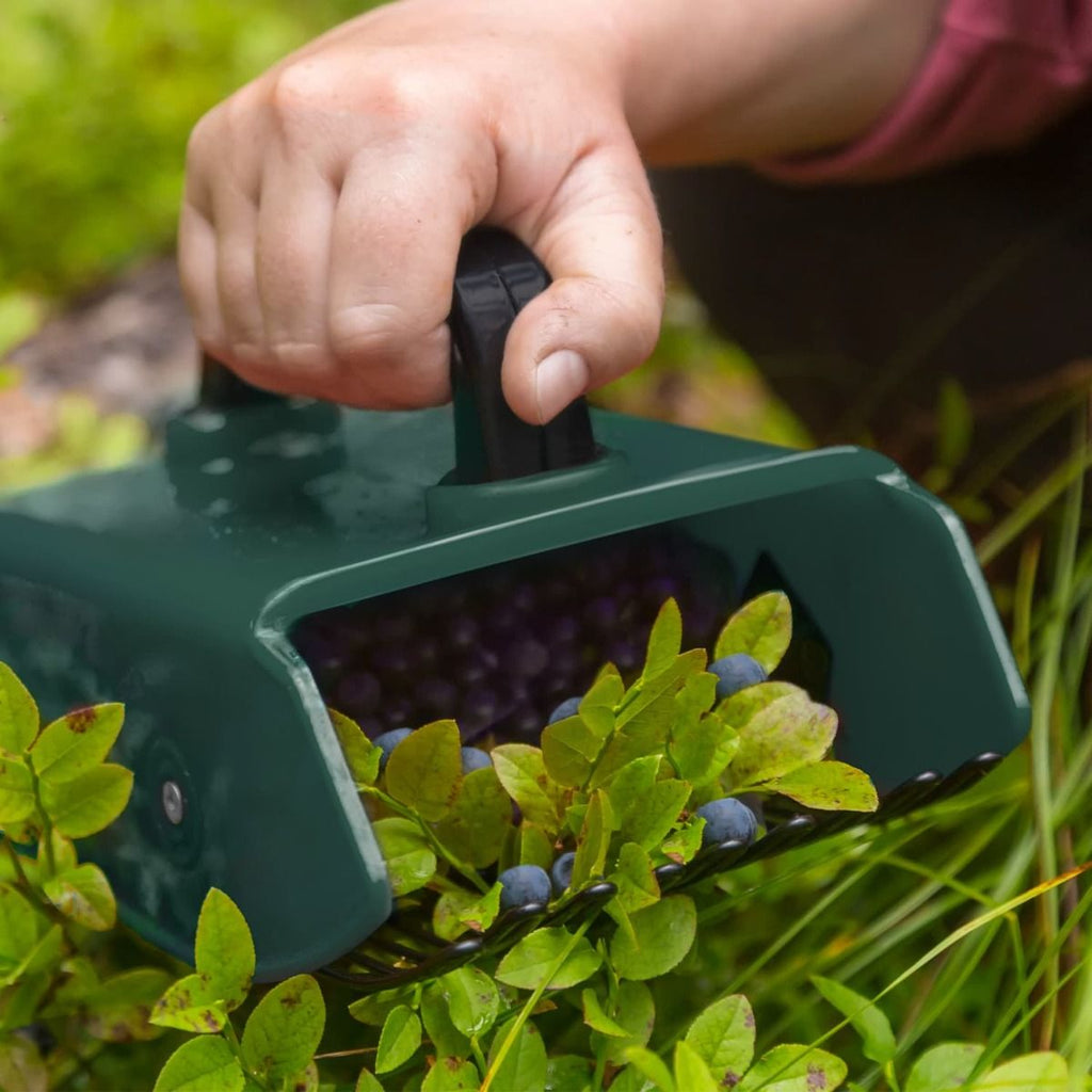 CKB Berry Picker – Handmatige Bessenplukker, Met Metalen Kam En Opvangbak, Voor Bosbessen, Bramen En Meer (groen)