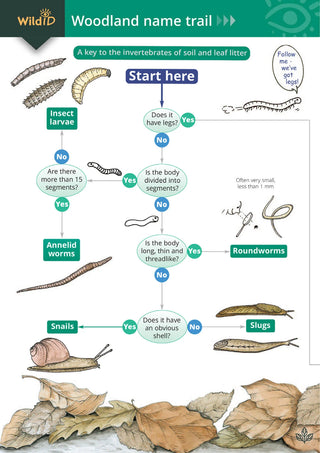 FSC - The Woodland Name Trail