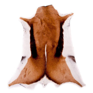 Springbok Tanned Hide Medium