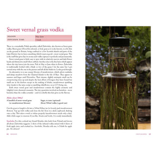 Booze: River Cottage Handbook No.12 by John Wright