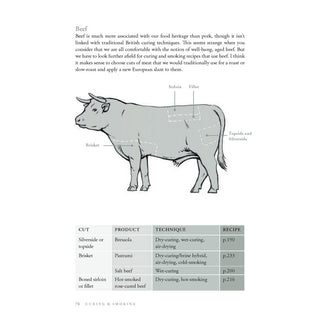 Curing & Smoking: River Cottage Handbook No.13 by Steven Lamb