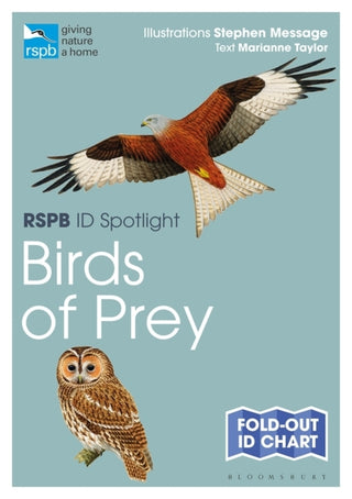 RSPB ID Spotlight Birds of Prey Guide